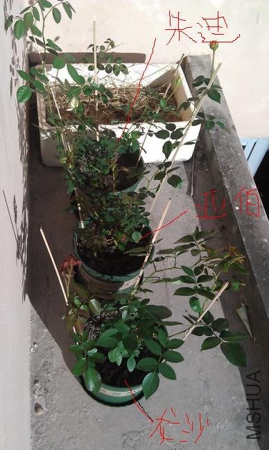 IMAG0247fujian.jpg