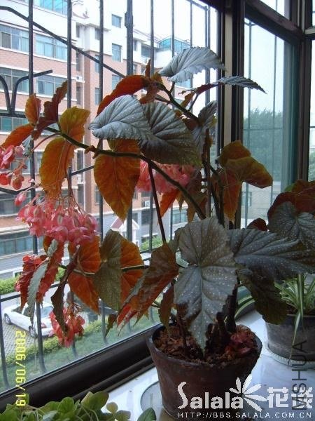 16_24978_d732ba20ddcb7d2.jpg