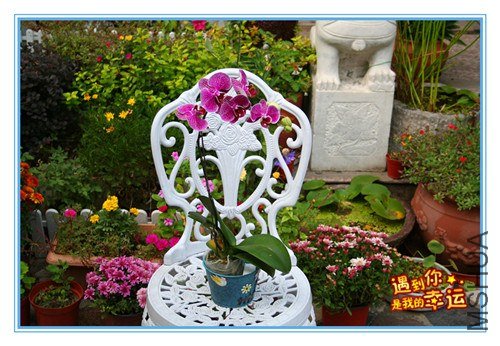 ��Ƭ 009_����.jpg