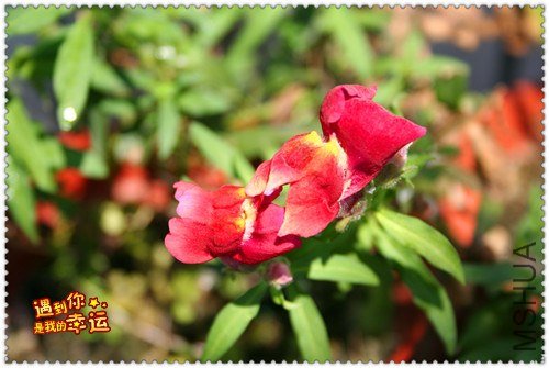 ��Ƭ 119_����.jpg