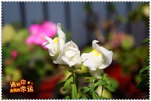 ��Ƭ 120_����.jpg