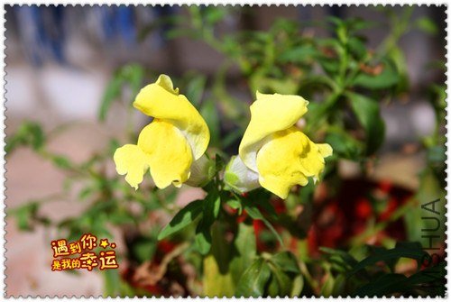 ��Ƭ 122_����.jpg