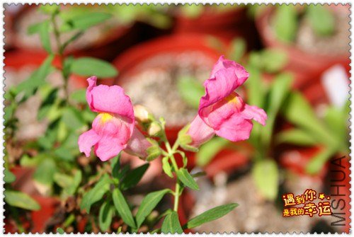 ��Ƭ 124_����.jpg