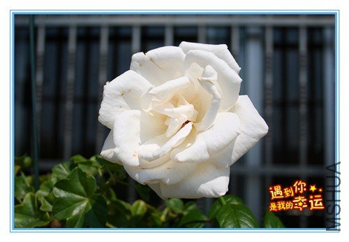 ��Ƭ 086_����.jpg