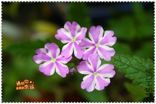 ��Ƭ 141_����.jpg