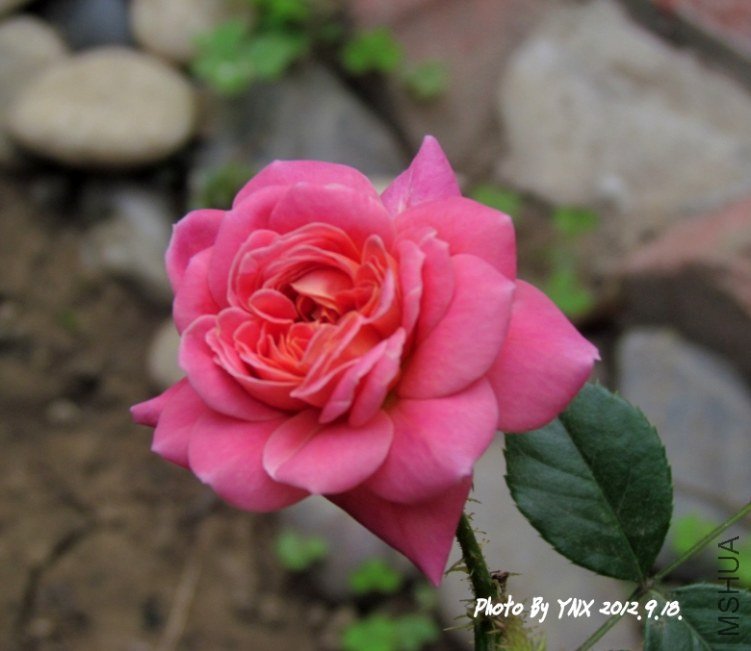 2012.9.22. 034_conew1.jpg