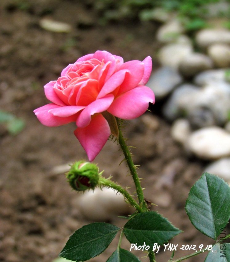 2012.9.22. 035_conew1.jpg