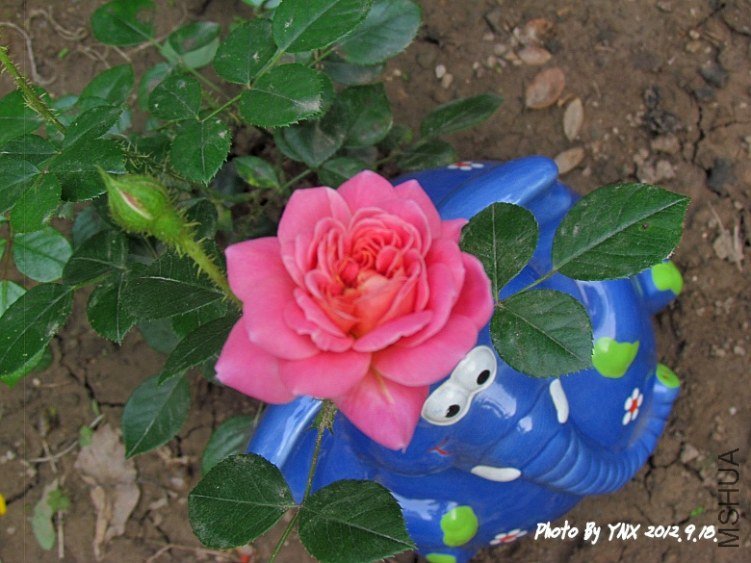 2012.9.22. 036_conew1.jpg