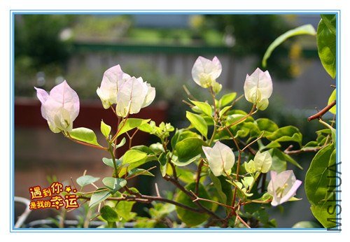 ��Ƭ 080_����.jpg