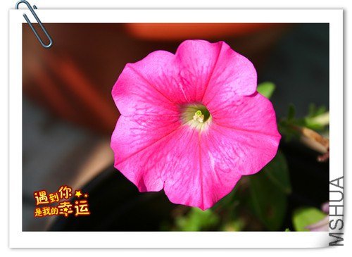 ��Ƭ 021_����.jpg