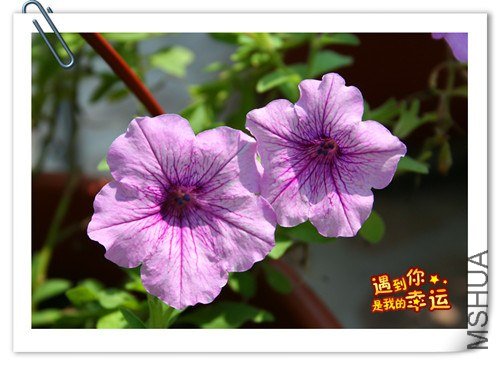 ��Ƭ 023_����.jpg