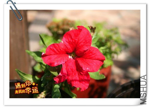 ��Ƭ 024_����.jpg