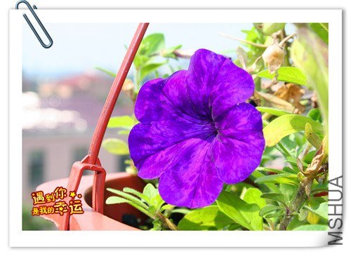 ��Ƭ 025_����.jpg