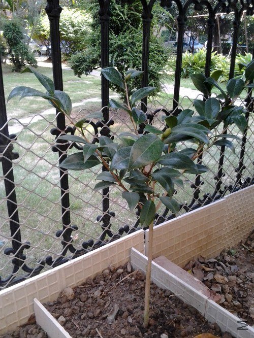 2012-10-01 11.52.06_meitu_7.jpg