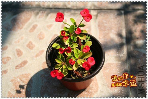 ��Ƭ 051_����.jpg