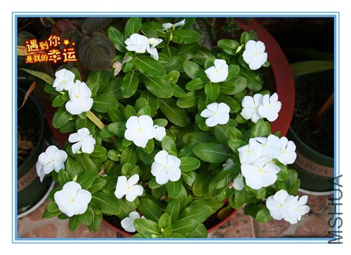 ��Ƭ 031_����.jpg