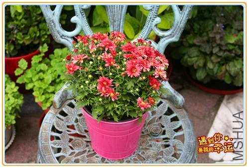 ��Ƭ 029_����.jpg