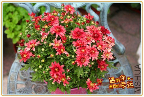 ��Ƭ 030_����.jpg