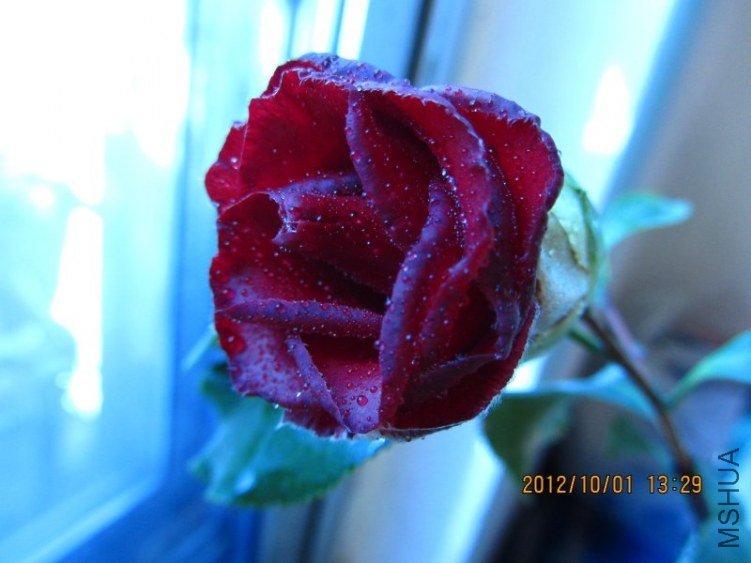 IMG_0013.JPG