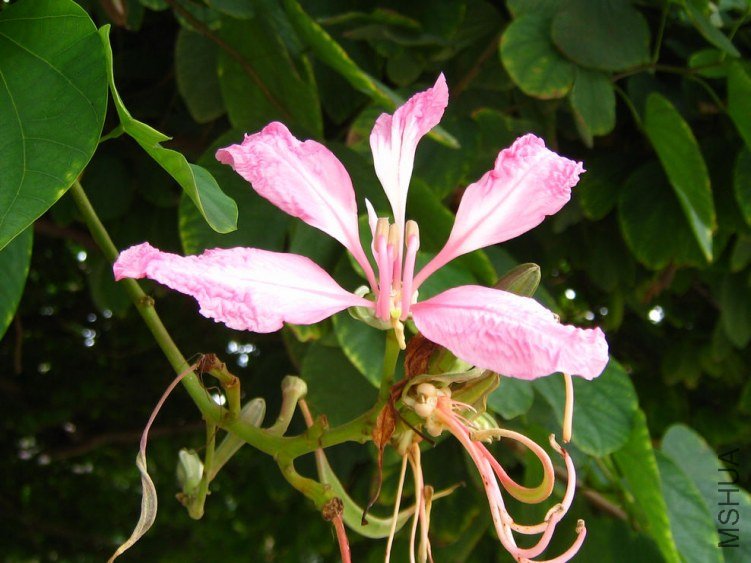 IMG_3718.jpg