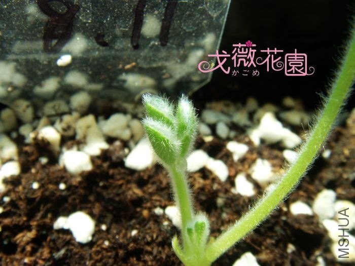 ë���׵ĺ��ӣ�ϣ��������ܿ�����Ļ�~