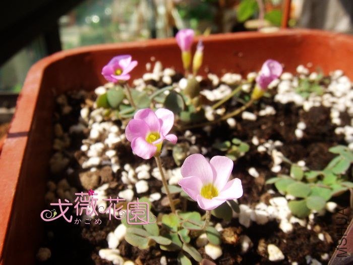 ���������黨��~������~