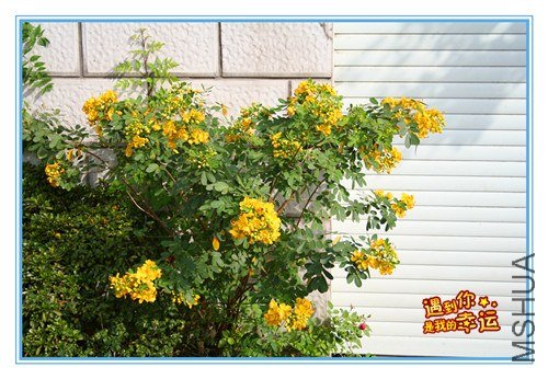 ��Ƭ 033_����.jpg