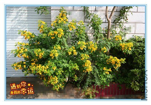 ��Ƭ 033_����1.jpg