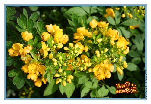 ��Ƭ 035_����.jpg