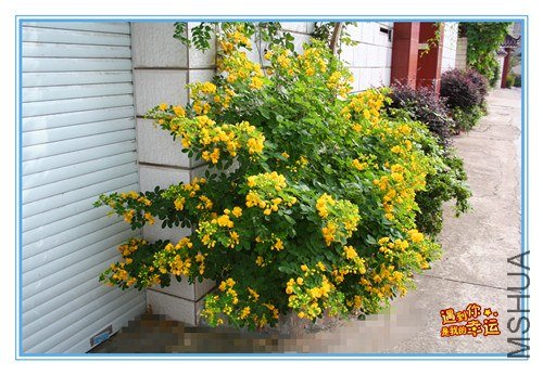 ��Ƭ 037_����.jpg