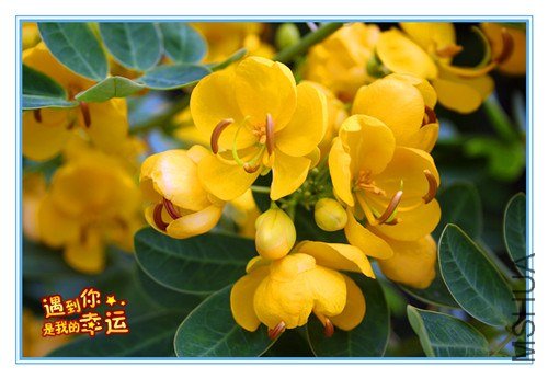 ��Ƭ 039_����.jpg