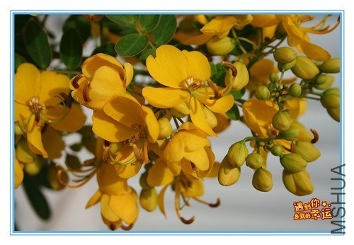 ��Ƭ 048_����.jpg