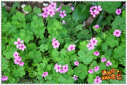 ��Ƭ 062_����.jpg