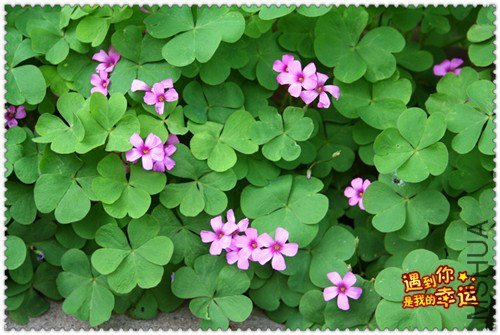 ��Ƭ 065_����.jpg