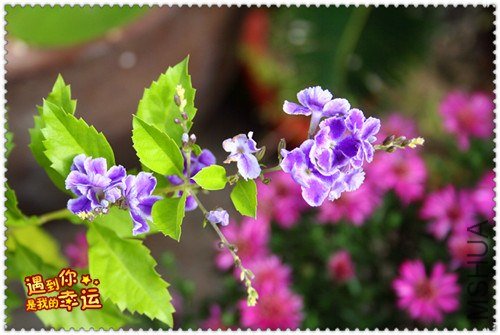 ��Ƭ 089_����.jpg