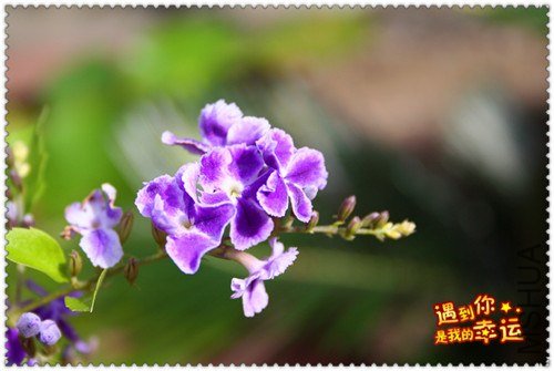 ��Ƭ 092_����.jpg