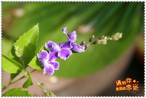 ��Ƭ 094_����.jpg