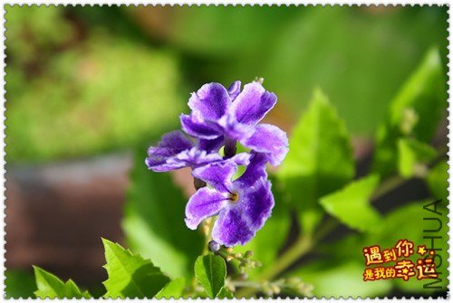 ��Ƭ 095_����.jpg