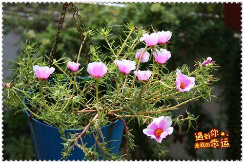 ��Ƭ 141_����.jpg