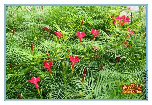 ��Ƭ 043_����.jpg