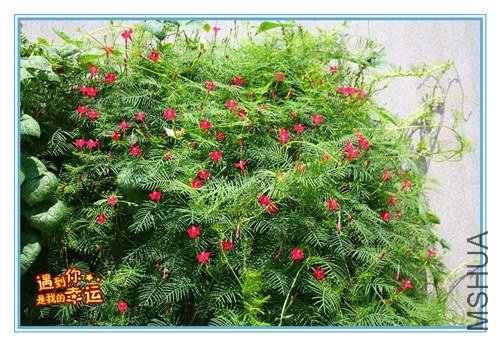 ��Ƭ 043����1.jpg