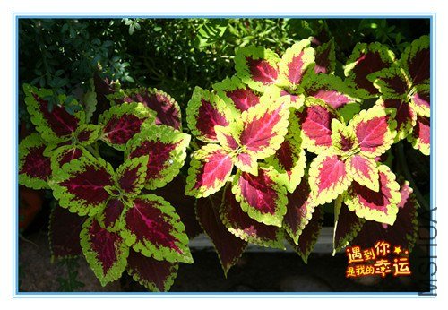 ��Ƭ 036_����.jpg