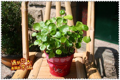 ��Ƭ 196_����.jpg