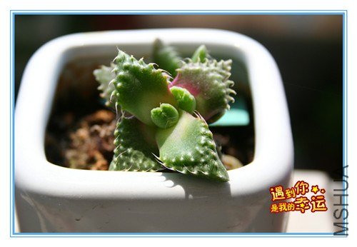 ��Ƭ 108_����.jpg