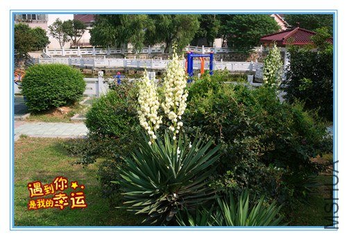 ��Ƭ 209_����.jpg