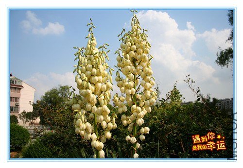 ��Ƭ 211_����.jpg