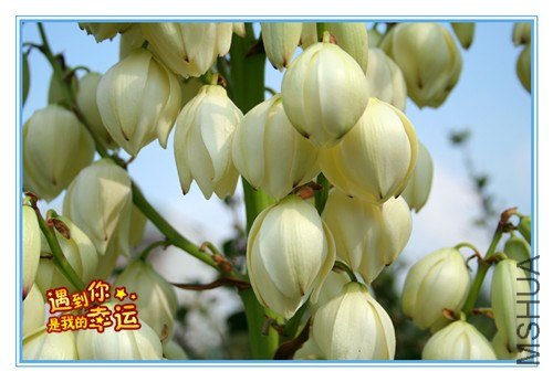 ��Ƭ 213_����.jpg