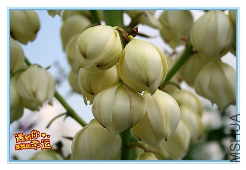 ��Ƭ 215_����.jpg