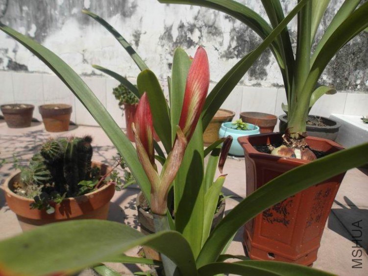 ������С SAM_3269.JPG