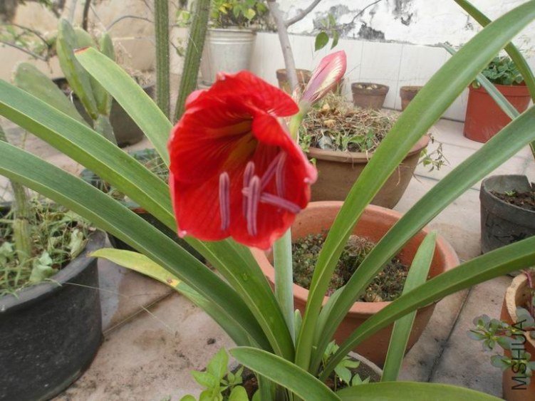 ������С SAM_3333.JPG